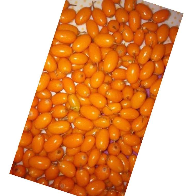 
new season good quality good price Frozen Sea Buckthorn berry IQF Sea Buckthorn berry 