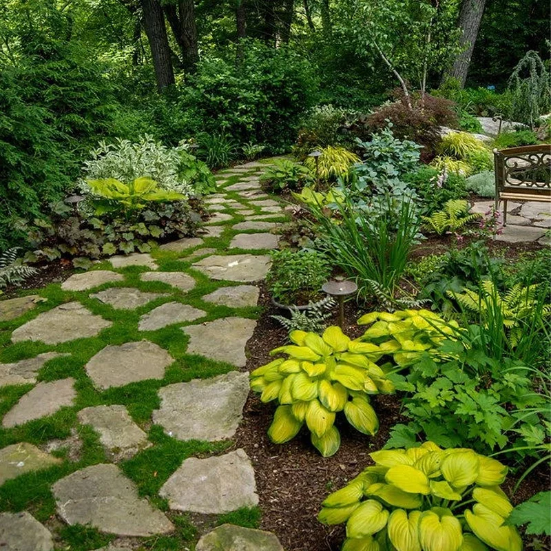 
Hot sale high quality 7W 12v 24v AC85-265v IP65 rating lawn landscape tree garden light outdoor led spike light 