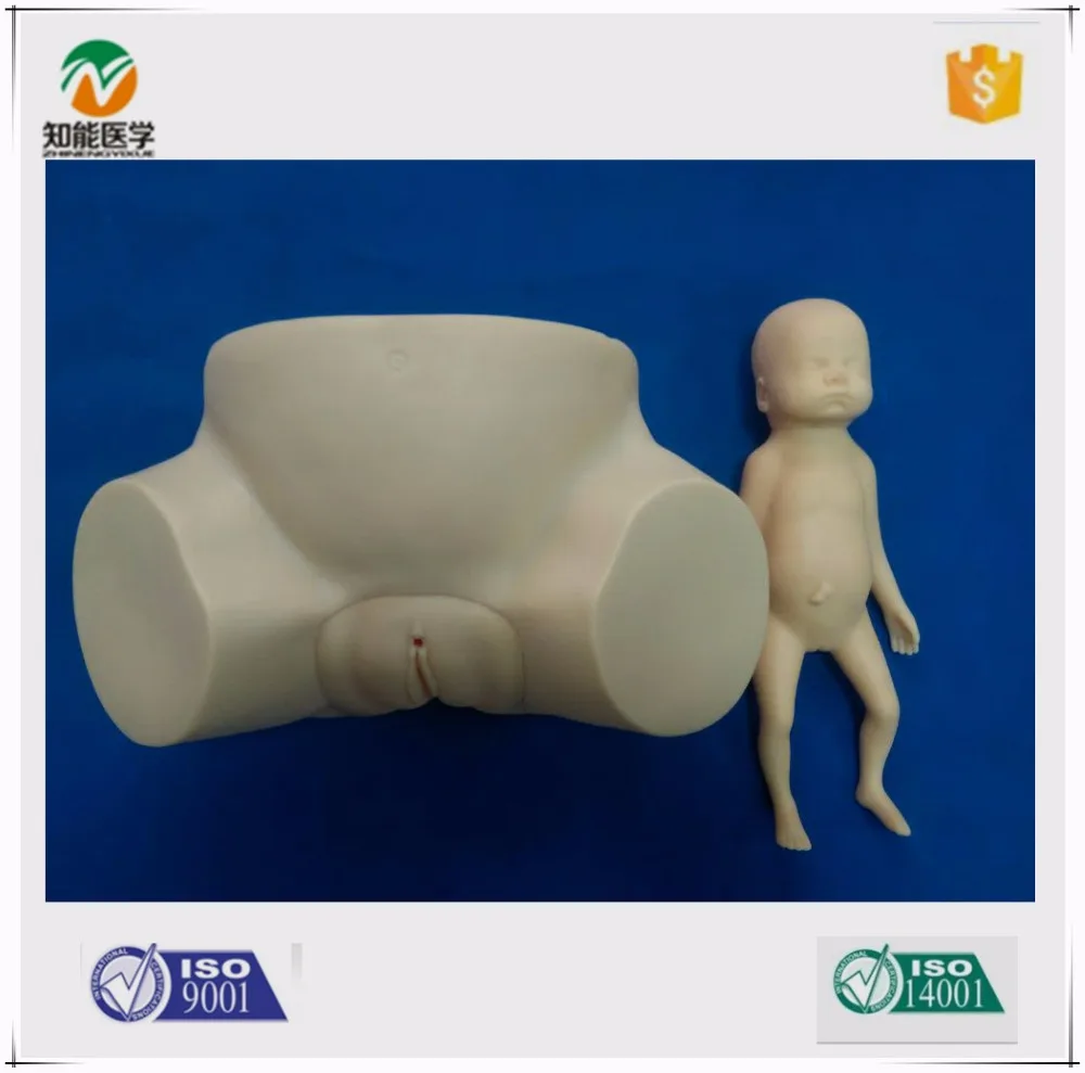 VACUUM DELIVERY OBSTETRICAL MANIKIN