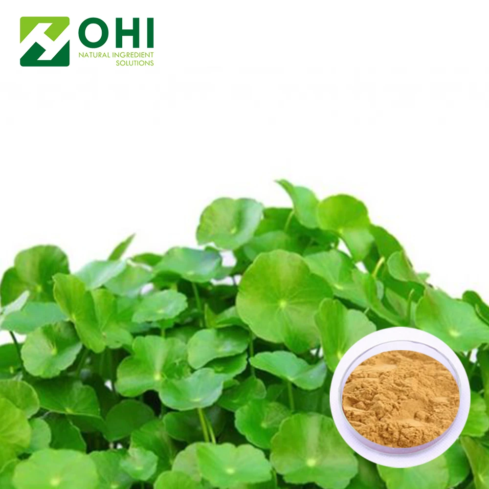 China manufacturer herbex centella extract