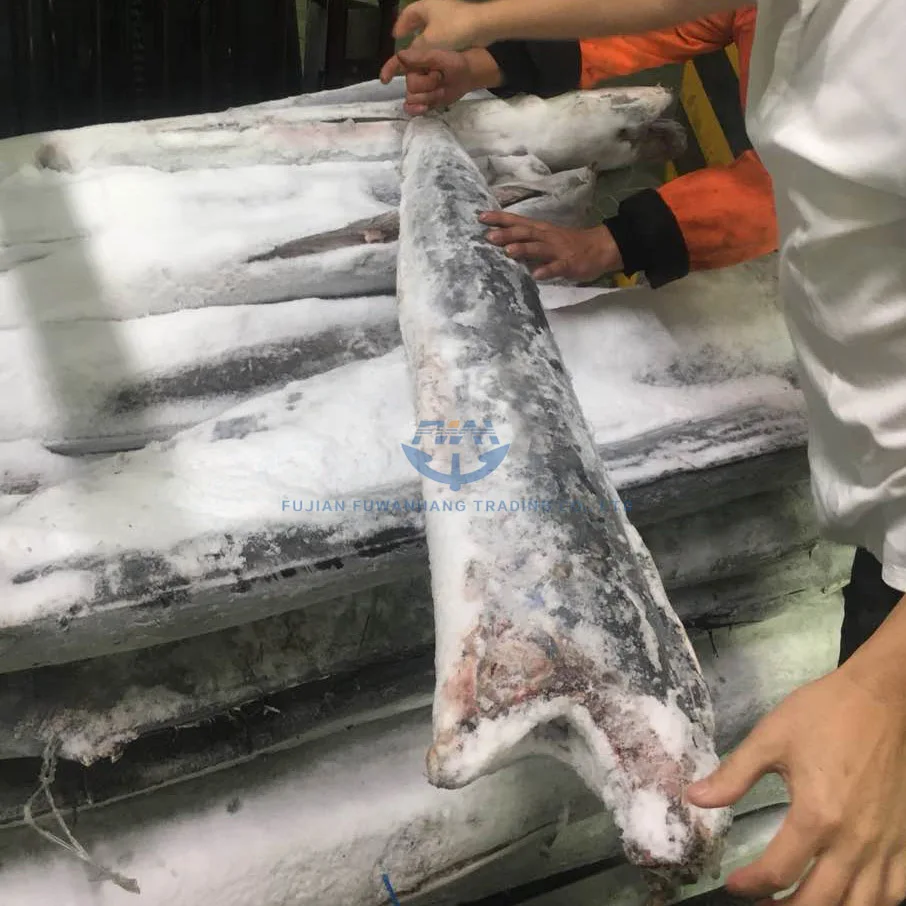 
Seafrozen sailfish exporter from China frozen marlin fish 