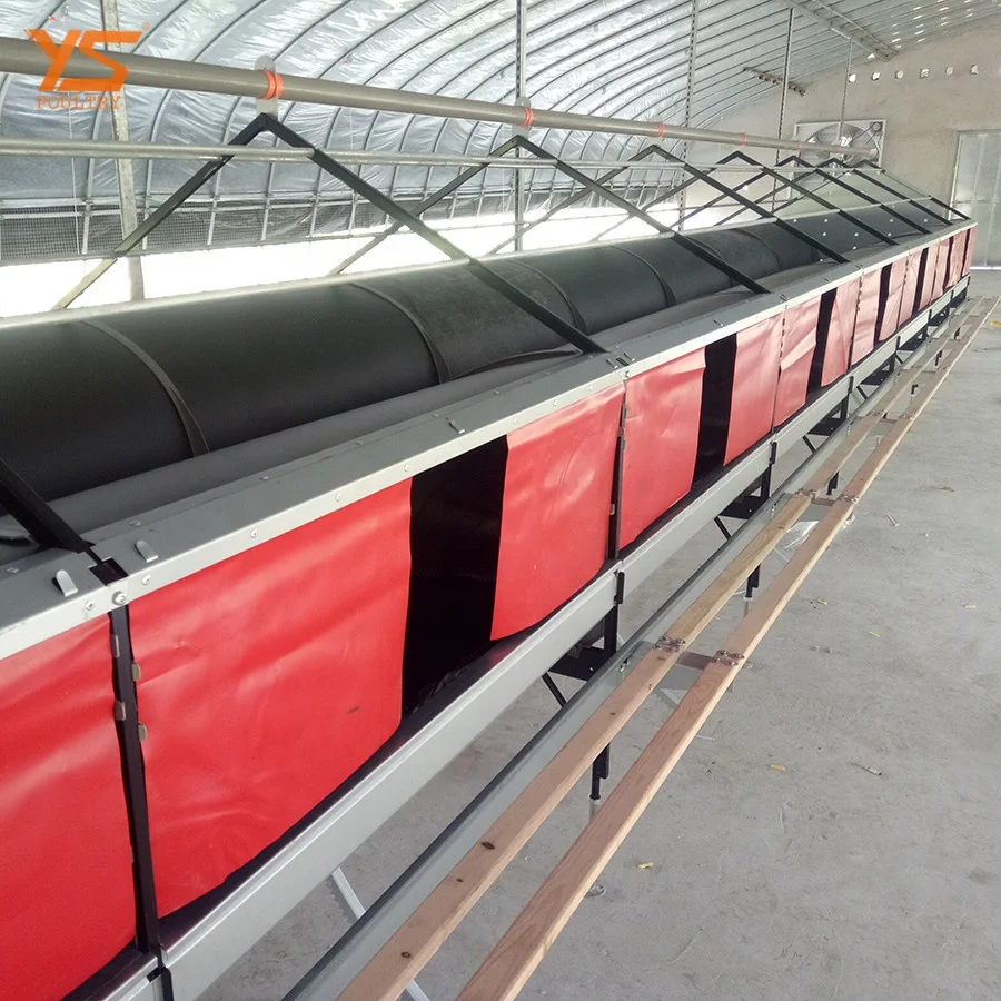 
Modern Automatic breeder floor/ ground feeding system 