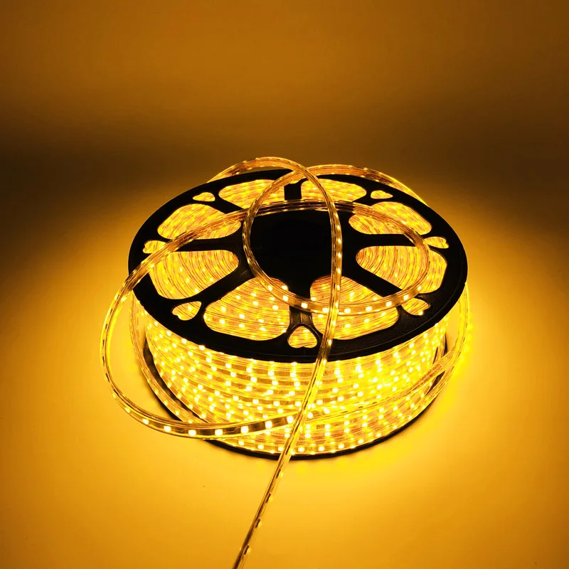 Cheap price IP67 Waterproof led flexible strip light 220V SMD5050 neon rope strip lights barrier gate arm led strips