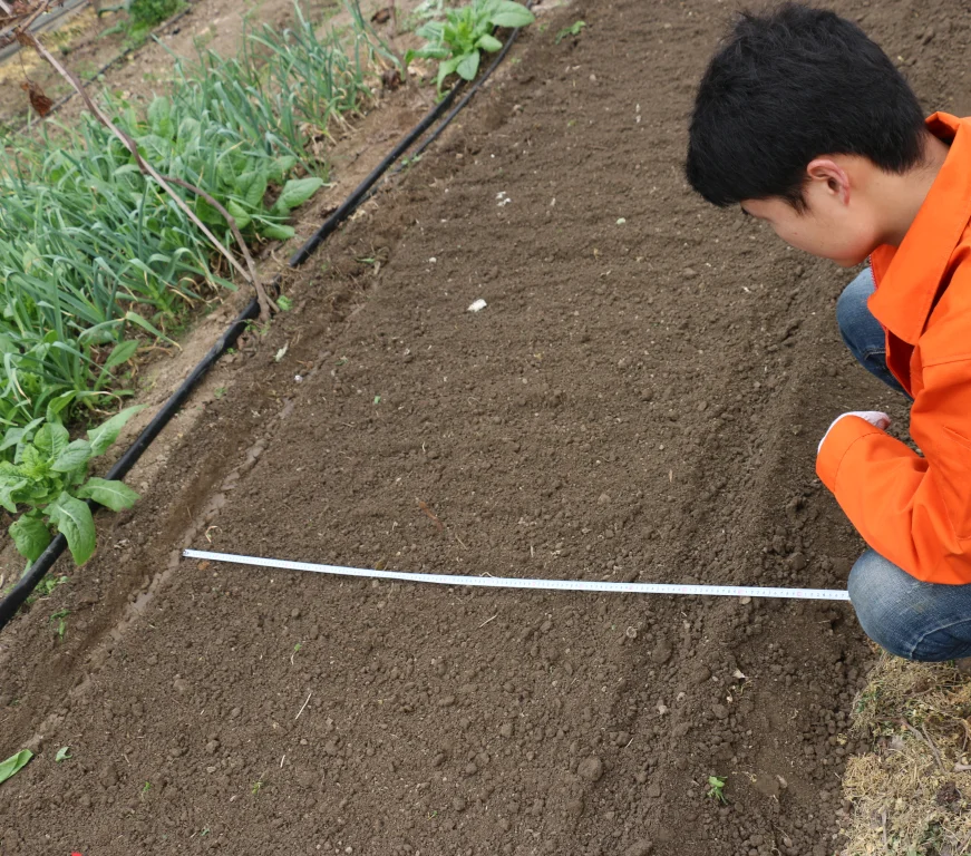 CE EPA approval Japanese original Kubota diesel engine small mini skid steer loader like toro dingo