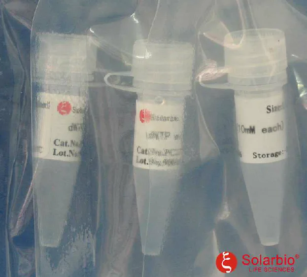 
dNTPs Mix(2.5mM each) 