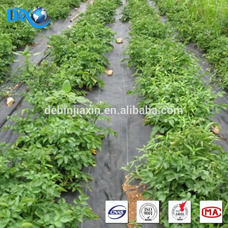 containing UV threads woven into geotextile