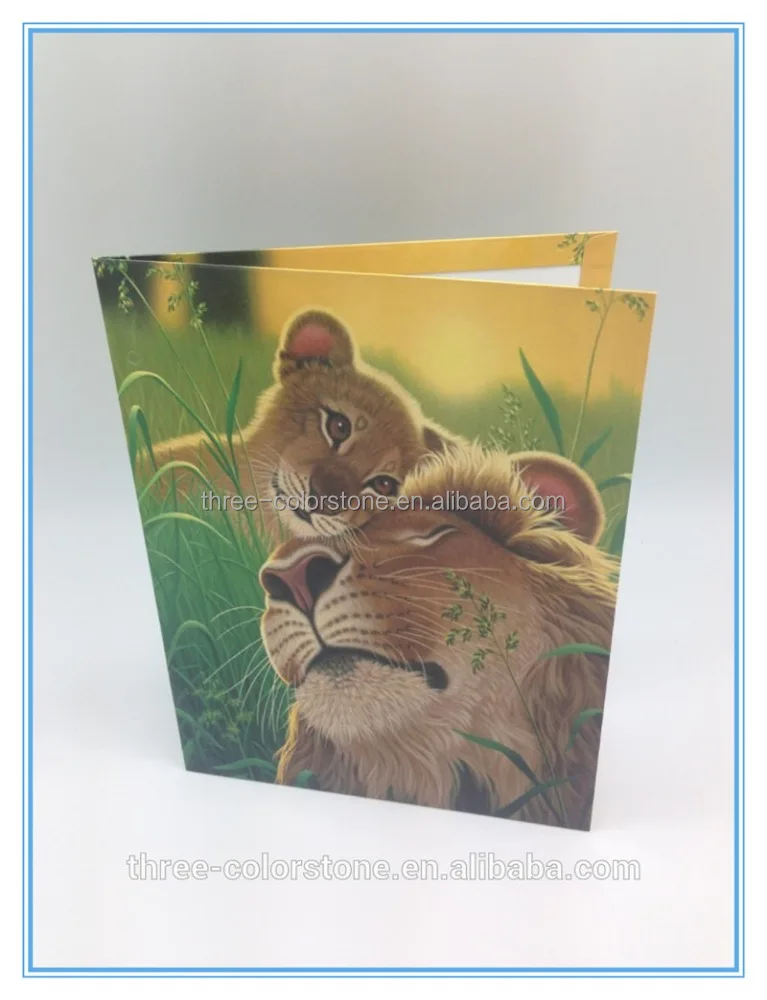 Eco-Friendly ламинированные Моды Двойной Карман PP Файл В Папку