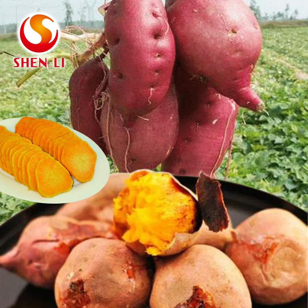 Sweet Potatoes Snacks Ready to Eat healthy food