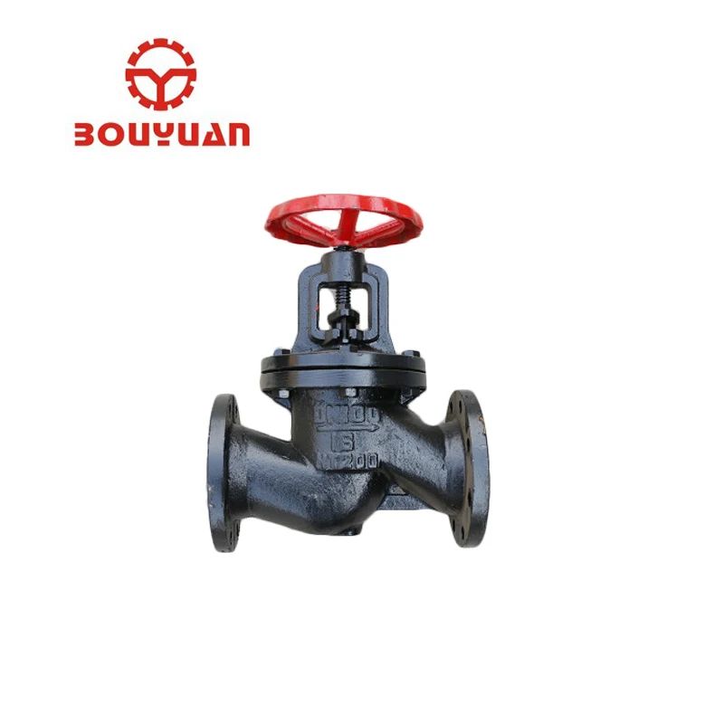 
Flange ends cast iron GB globe valve steam pipeline J41T-16 globe valve 