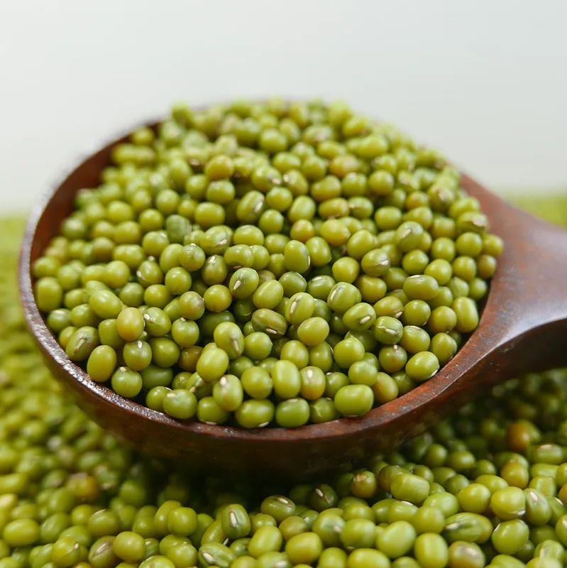 
2019 new crop green mung bean for sprouts on hot sale,Chinese origin 