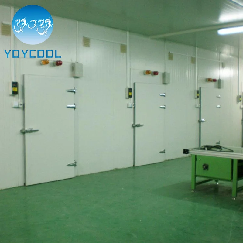 Commercial Refrigerator/Custom Cold Storage Egg Warehouse