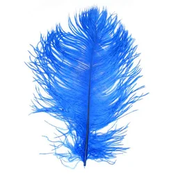 china wholesale ostrich feather price 25-30cm, used for festivals parties or carnival decoration