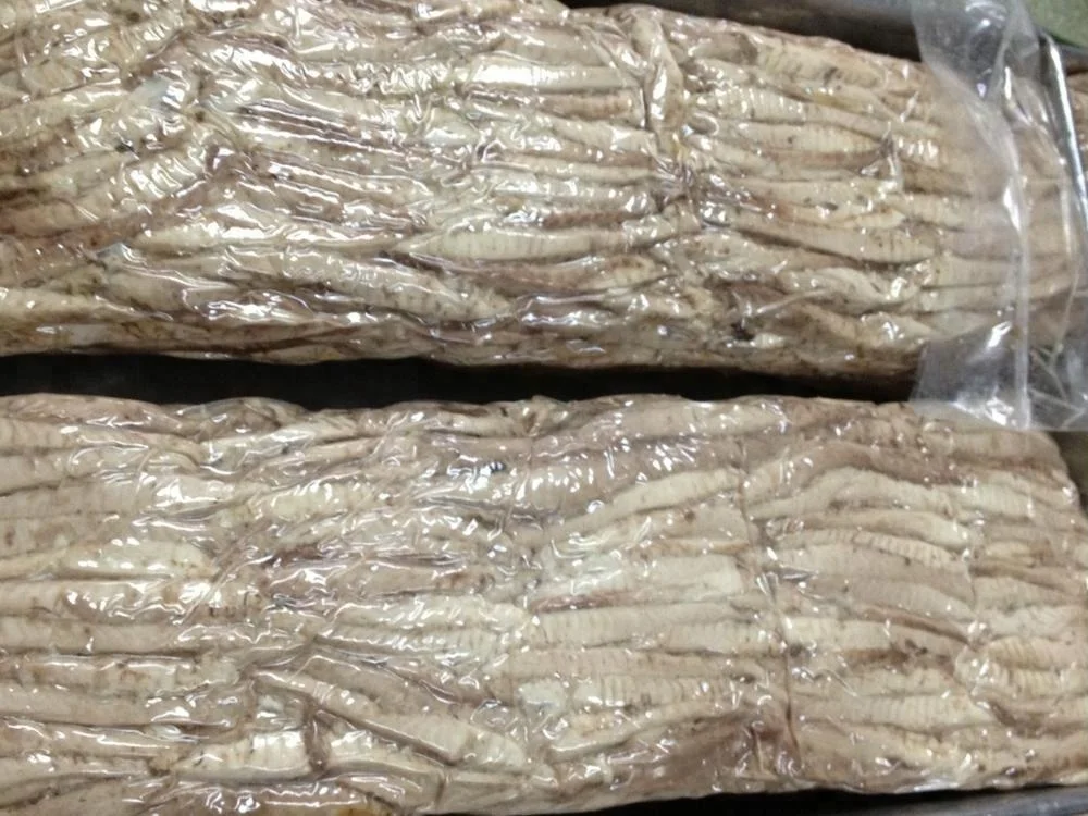 Precooked Auxis Thazard frozen Bonito Tuna Loins and Flakes