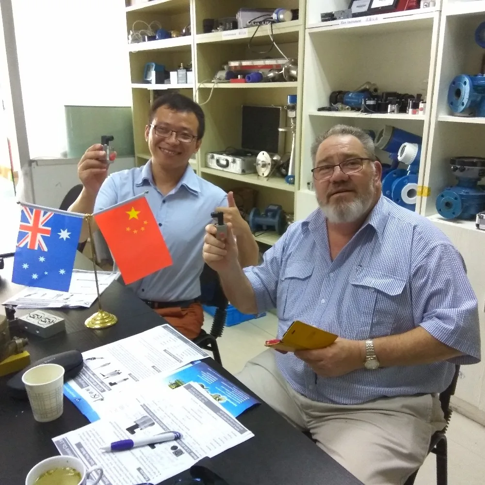 Импульсный выход дозирования функции и высокая точность управления жидкости расходомером Micro