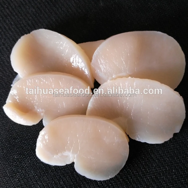 Frozen seafood sea scallop new prodcued for sale