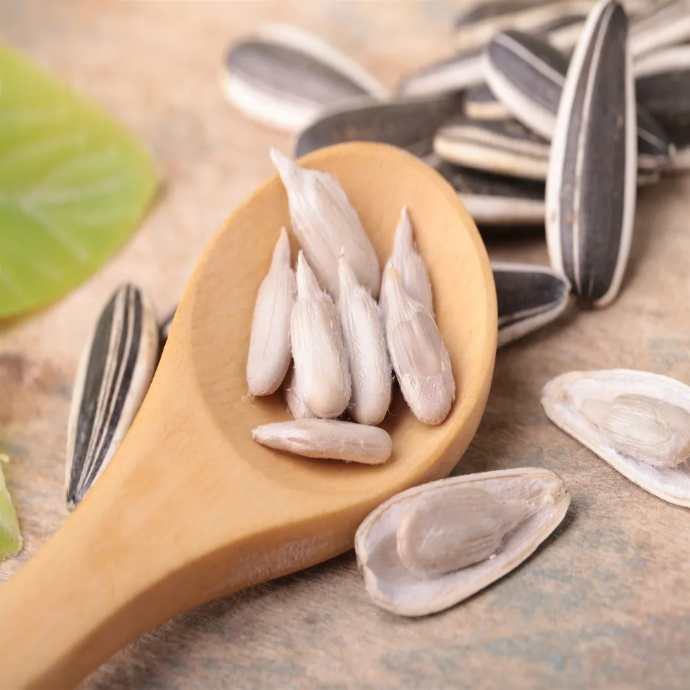 2017 Inner mongolia sunflower seeds market cheap price