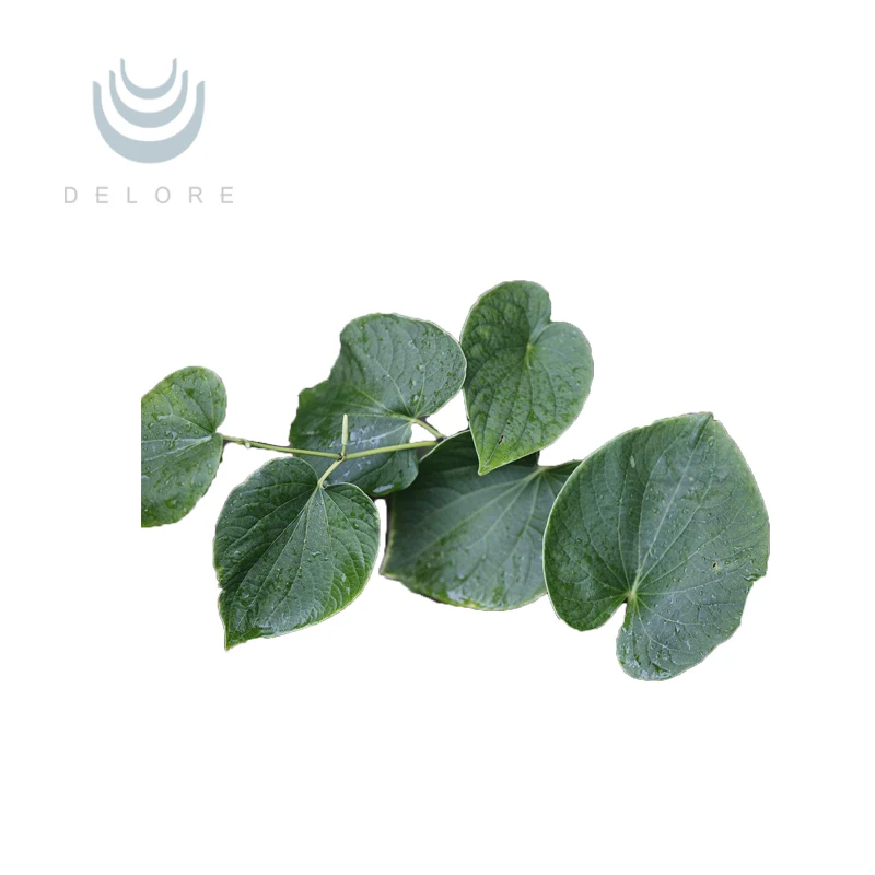 Free Sample Kavalactone Piper methysticum Kava Kava Root Extract