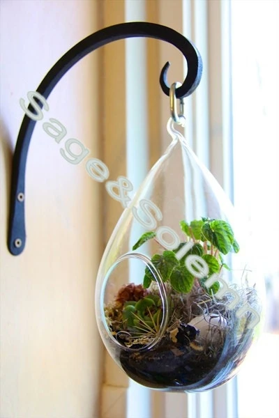 4inch Wall Plant Hanger Hooks