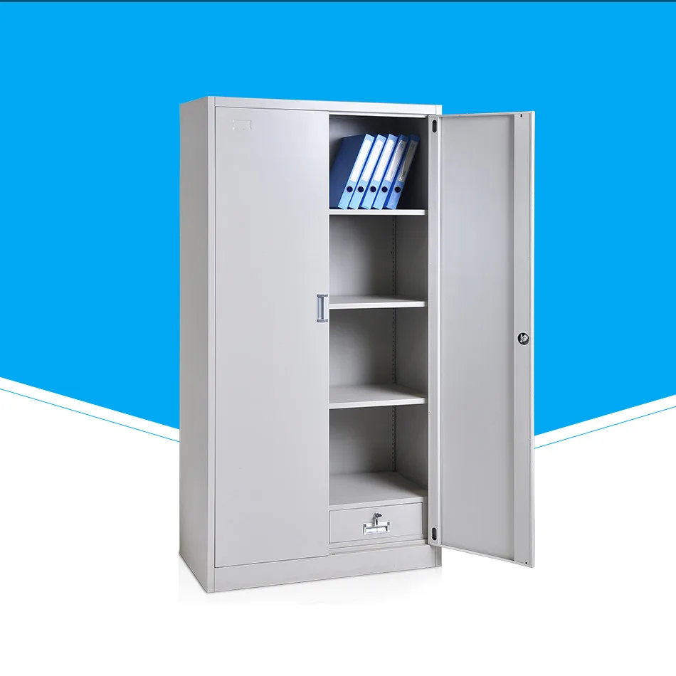 SFD-W19 2 Door Filing Cabinet in Hospital Steel Furniture