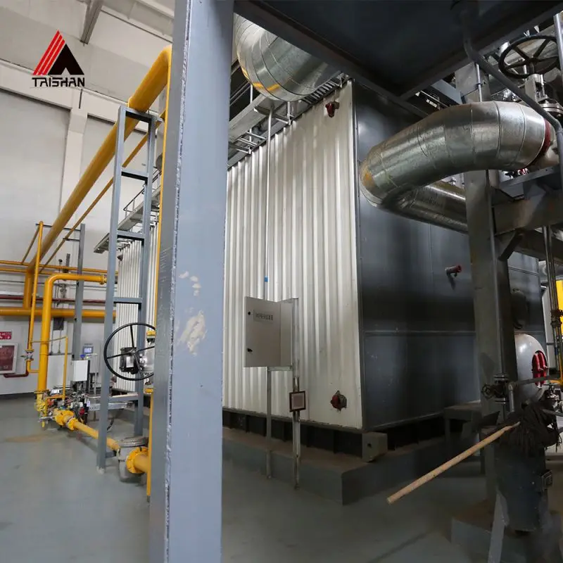 Gas Steam Industrial Generator/Boiler For Food Machinery Industry