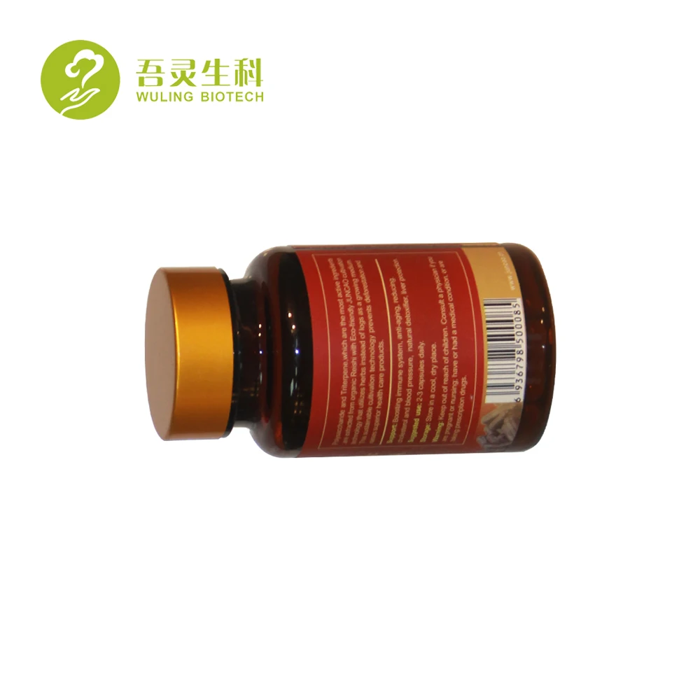 factory price ganoderma lucidum red reishi mushroom capsule lingzhi extract capsule