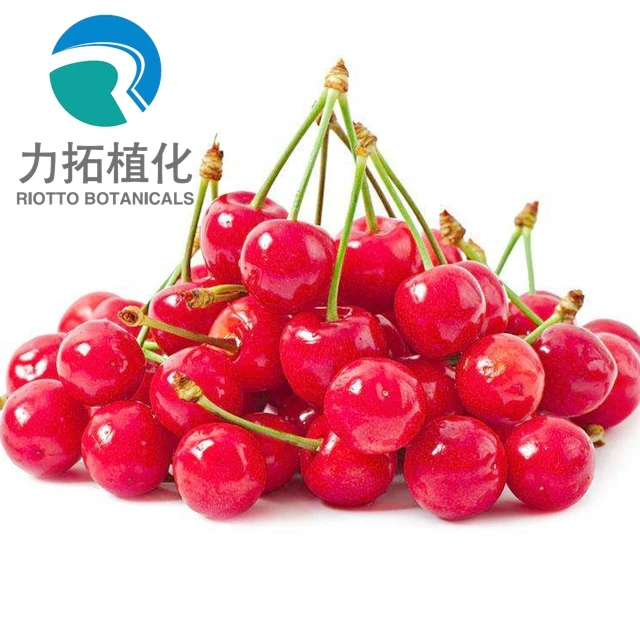 
organic 100% natural Cherry juice concentrate powder 