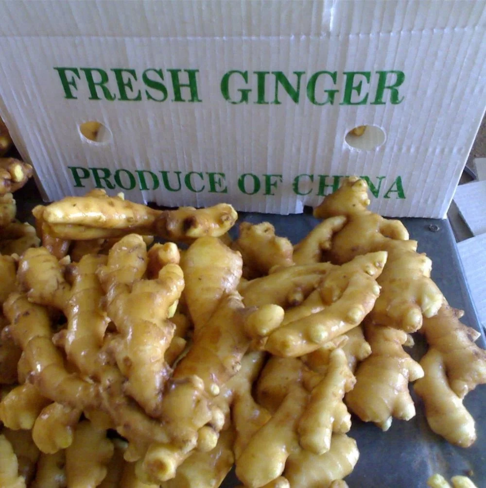FOB/CFR/CIF price ginger in China