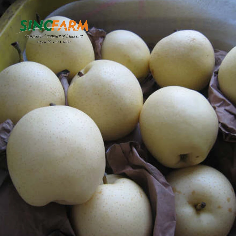 New crop nashi fragrant pear for european marktet