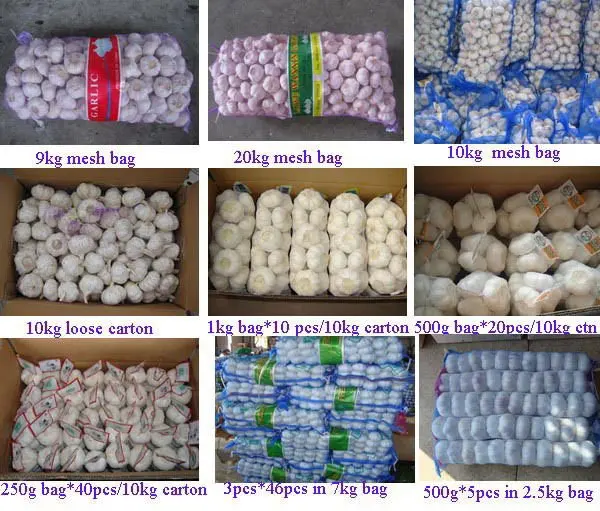 laiwu wanxin garlic