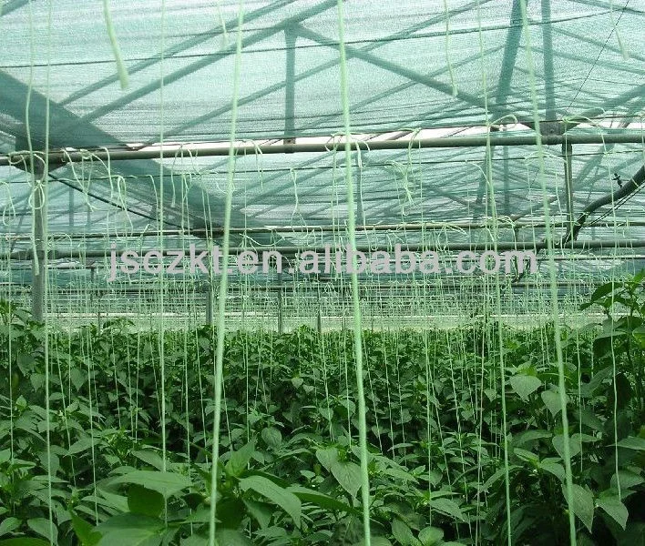 uv treated agriculture pp tomato twine string  factory