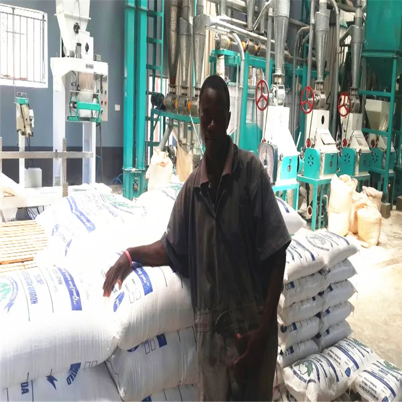 Промышленные мельницы для кукурузы из 30 т в 24 h