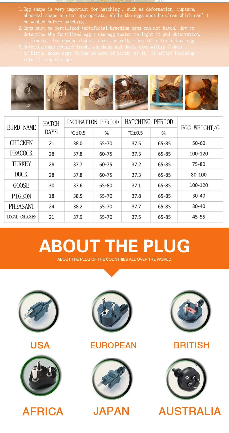 HHD factory free shipping Small 48 automatic poultry equipment chicken egg incubator and hatcher