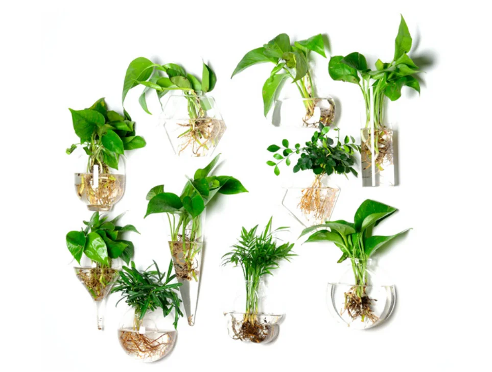 Домашний декор, настенная подвесная ручная выдувная зеленая стеклянная ваза для цветов