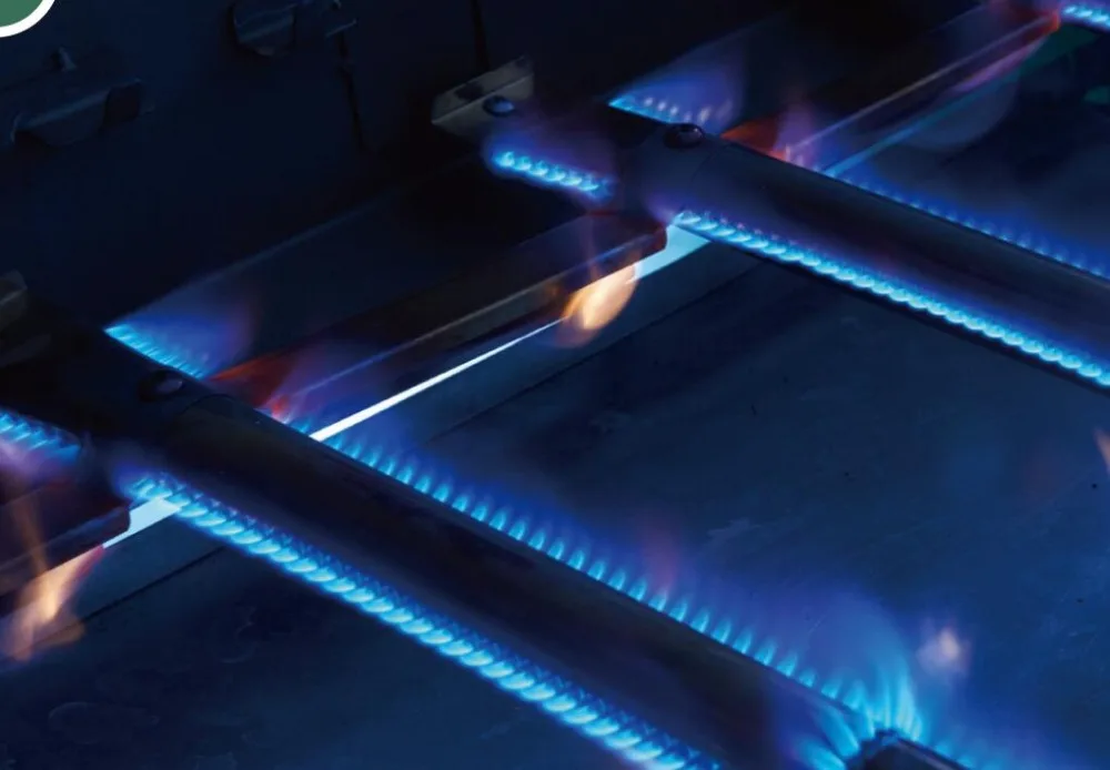 5 burner outdoor stainless steel barbecue gaz euro grill