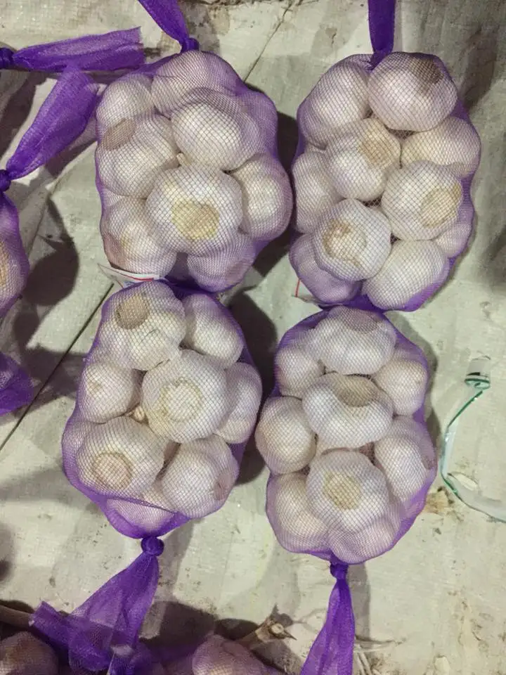 
fresh white garlic 