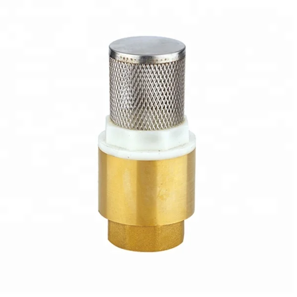 Brass foot valve  metal spring vertical check valve with  filter