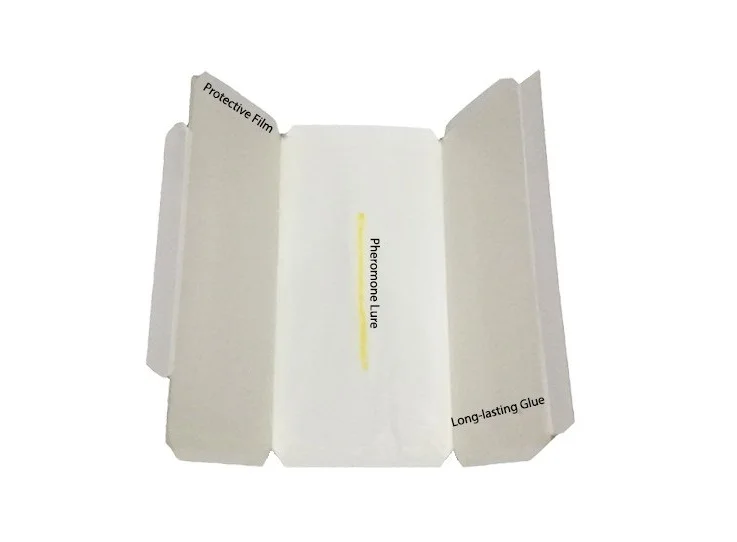 Plodia interpunctella насекомые феромоны для буфета ловушка для моли