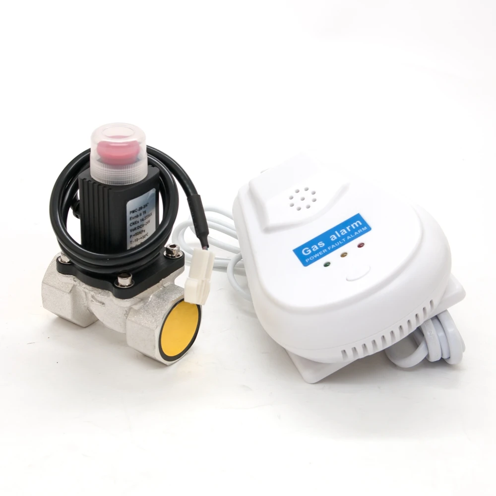 LPG Cooking Natural Gas Safety Regulator