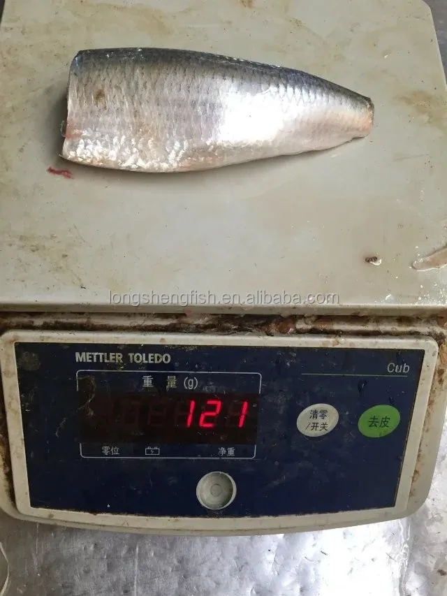 Замороженная Сардина HGT скумбрия HGT Тихоокеанская скумбрия