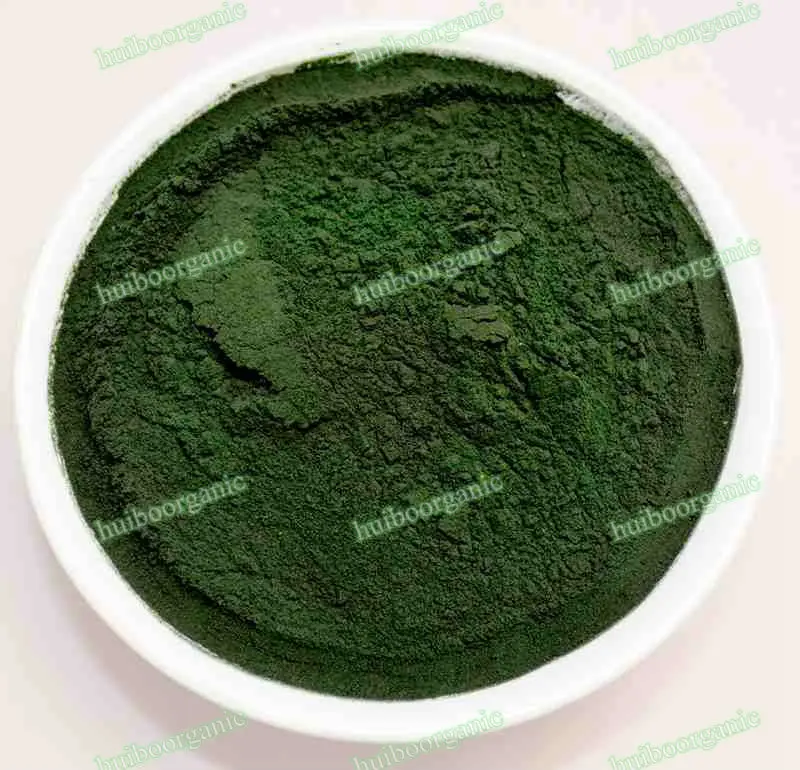 Bulk spirulina powder / certified spirulina powder extract