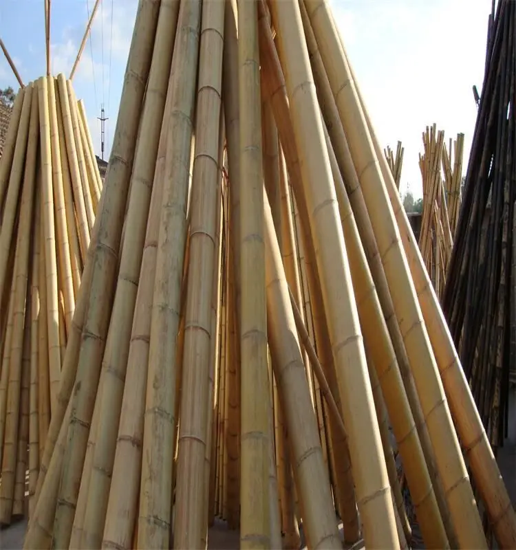 Large diameter bamboo raft wholesale