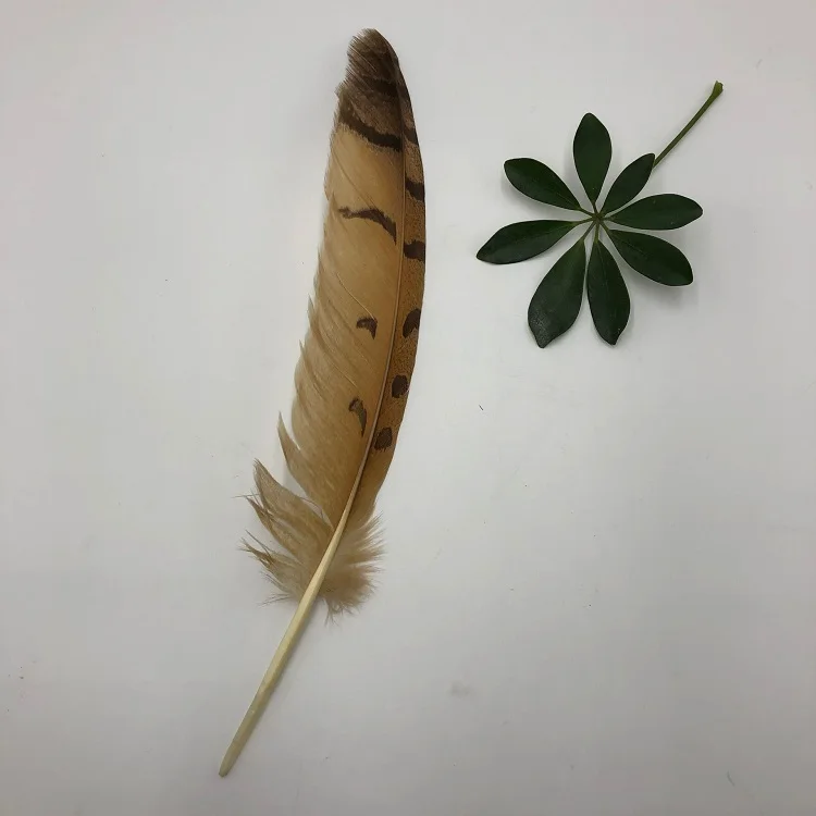 Natural owl Feathers 14-16 inch /35-40 cm carnival Diy costume