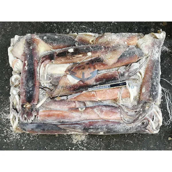 High Quality Frozen Whole Round Todarodes Squid for sale