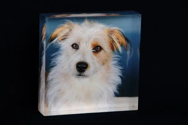 Пользовательский акриловый фото блок сублимационные акриловые блоки акриловый блок дисплей