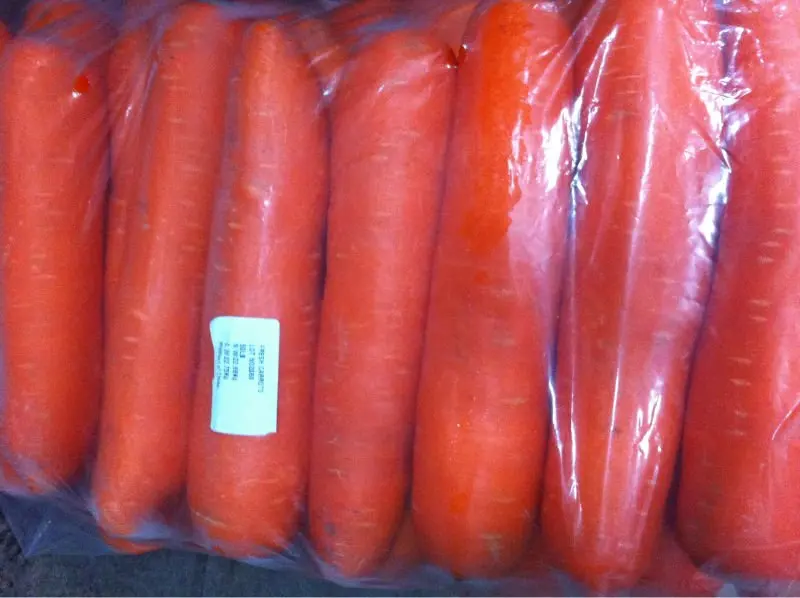 
Chinese fresh carrot from China 