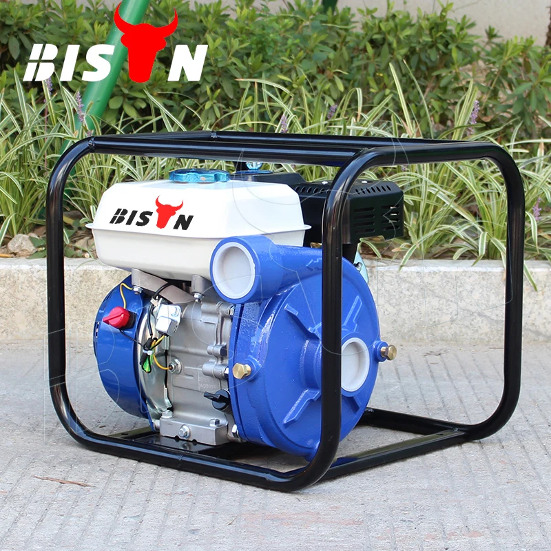 BISON(CHINA) BS20I 2 Inch High Pressure Gasoline Fire Water Pump Suppliers