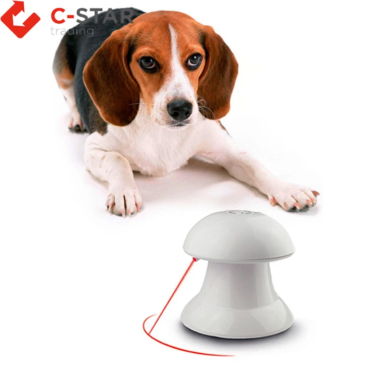 Good quality sell well small pet dog intelligence toy 2021 new pet cat laser toy