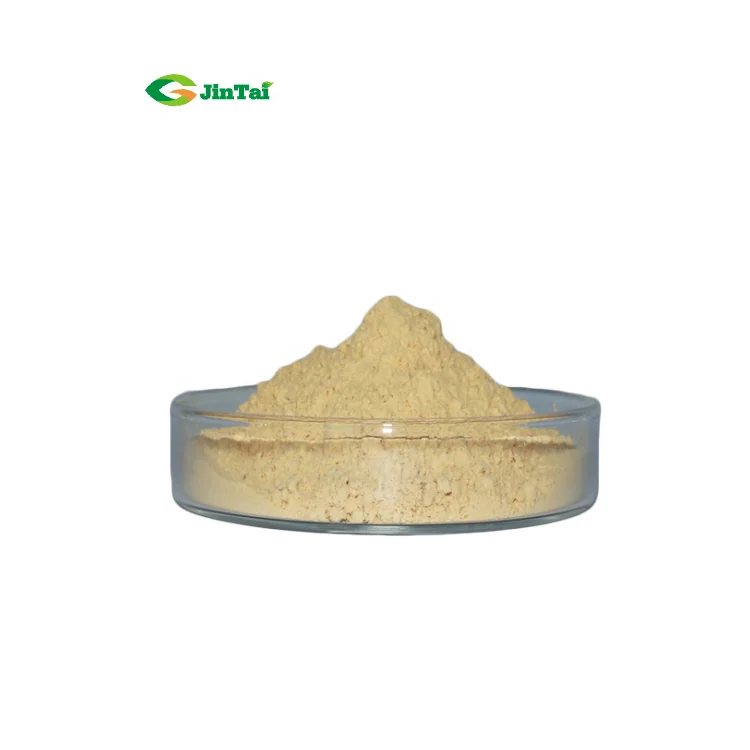 80% UV Panaxoside Ginseng Root Extract Ginseng Products Ginsenoside