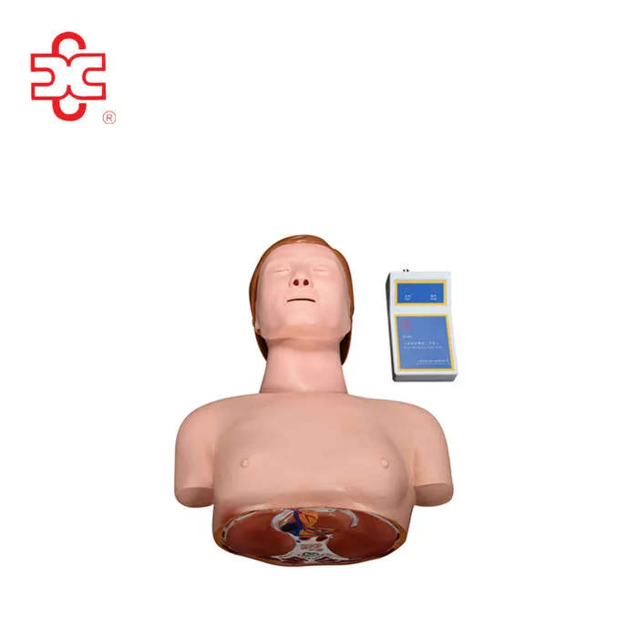 Half Body CPR Manikin for sale First Aid Training doll