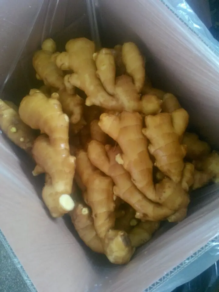 Свежий имбирь в картонной коробке 10 кг